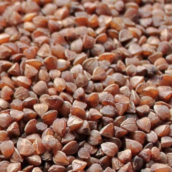 Grão Trigo Sarraceno, 5 kg