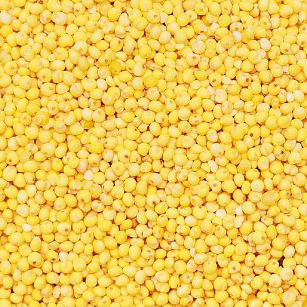 Millet descascado, 25 kg