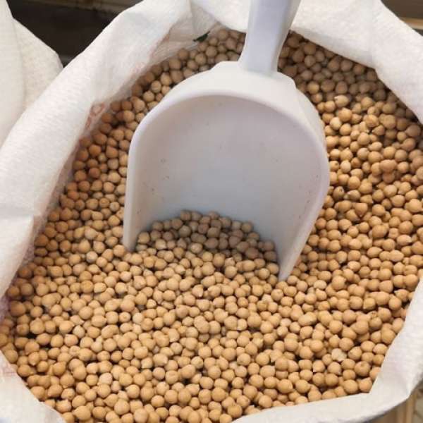 Grão Bico Pedrosillano, 25 kg