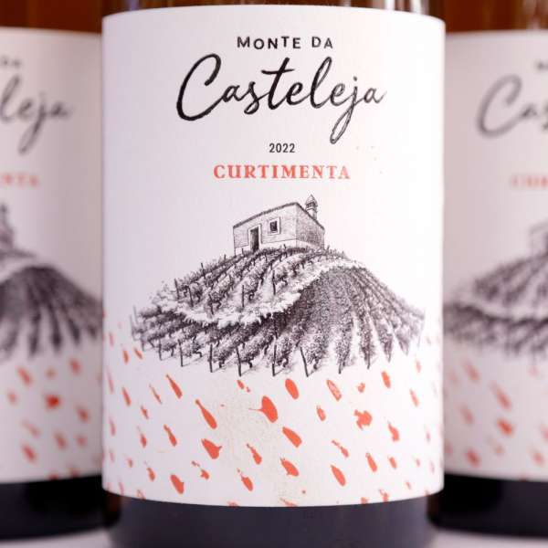 Vinho Tinto 2021 750ml 